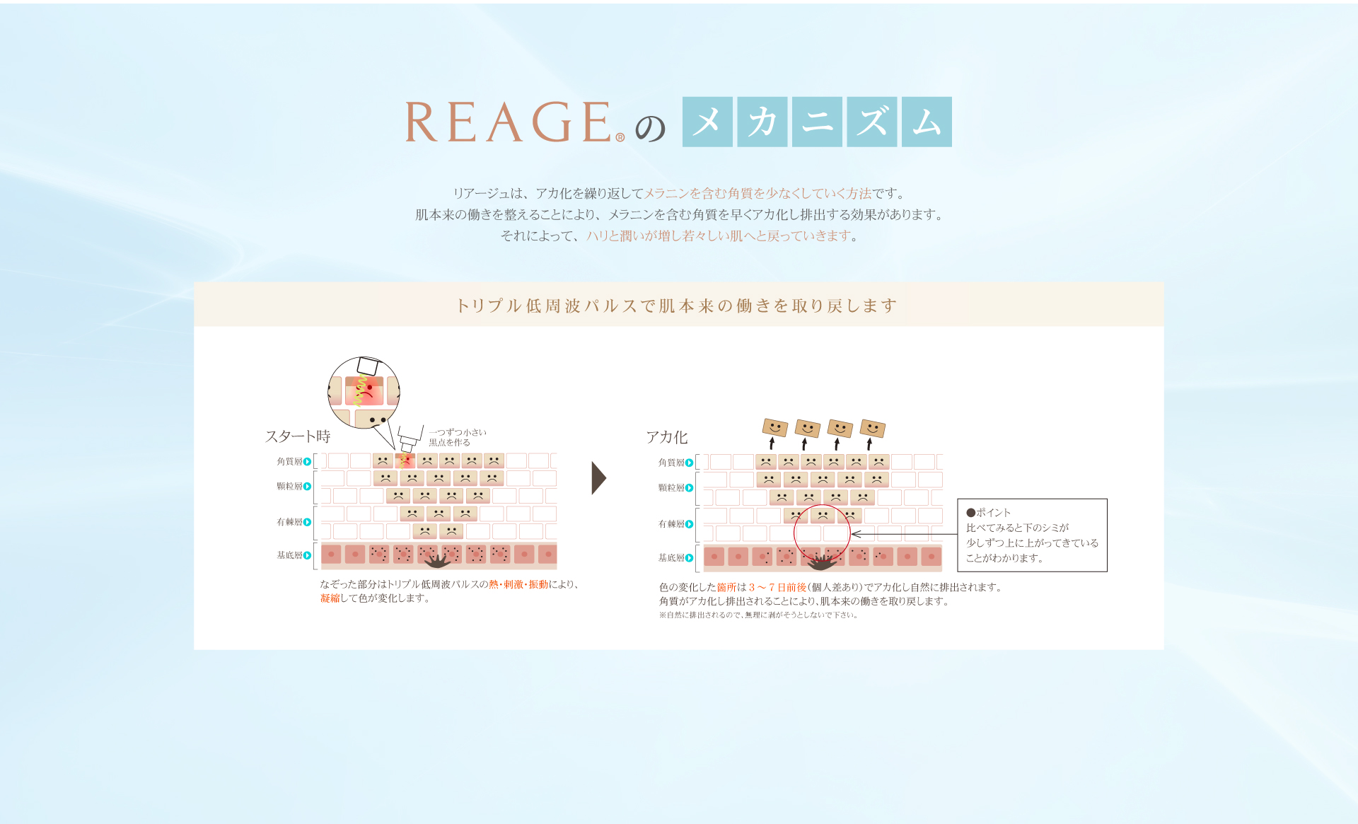 REAGEのメカニズム