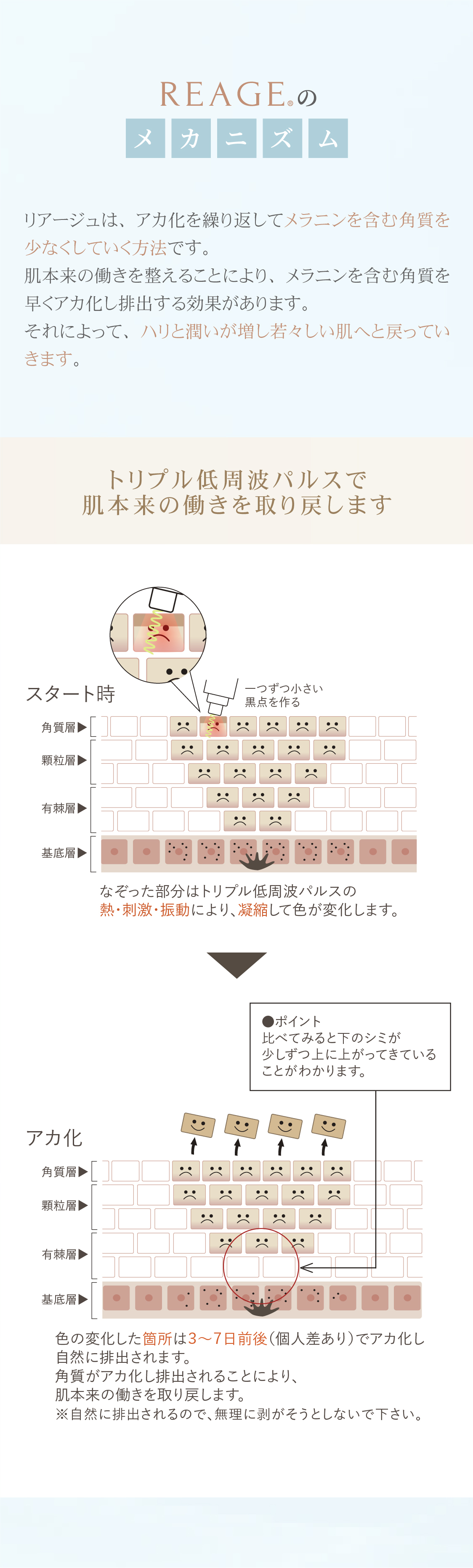 REAGEのメカニズム