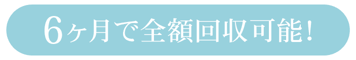 6か月で回収可能
